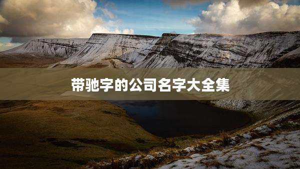 带驰字的公司名字大全集