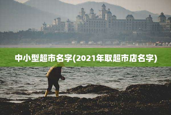 中小型超市名字(2021年取超市店名字)
