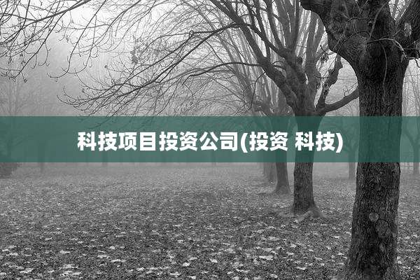 科技项目投资公司(投资 科技)