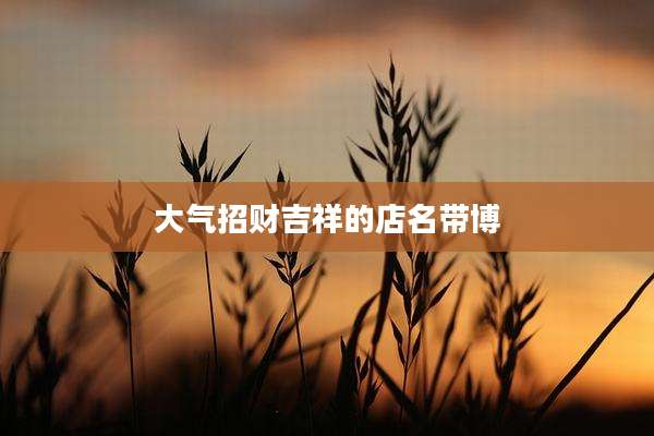 大气招财吉祥的店名带博