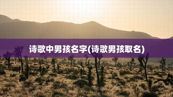 诗歌中男孩名字(诗歌男孩取名)