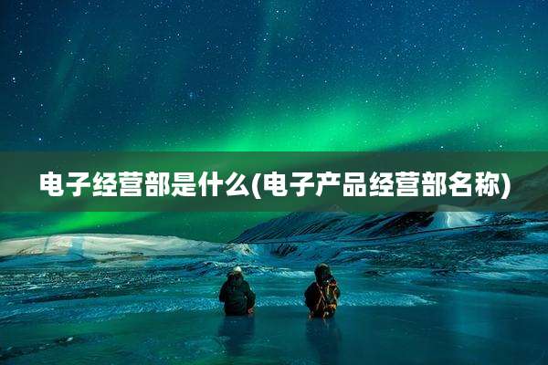 电子经营部是什么(电子产品经营部名称)