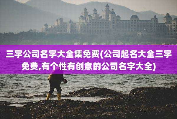 三字公司名字大全集免费(公司起名大全三字免费,有个性有创意的公司名字大全)
