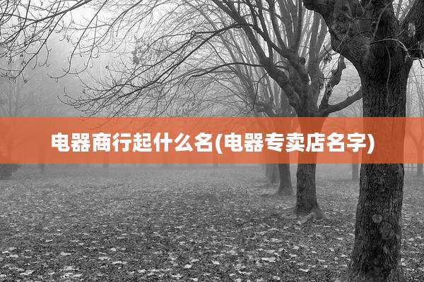 电器商行起什么名(电器专卖店名字)