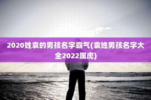 2020姓袁的男孩名字霸气(袁姓男孩名字大全2022属虎)