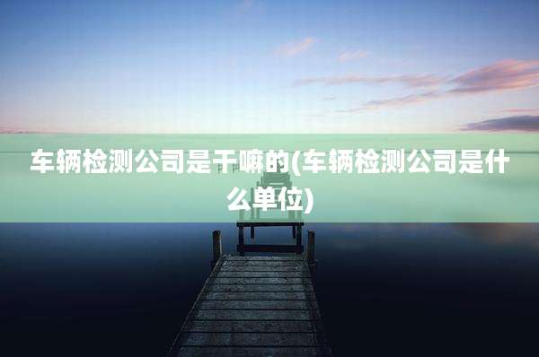 车辆检测公司是干嘛的(车辆检测公司是什么单位)