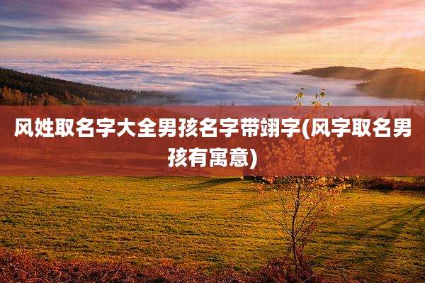 风姓取名字大全男孩名字带翊字(风字取名男孩有寓意)
