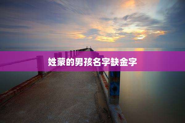 姓蒙的男孩名字缺金字