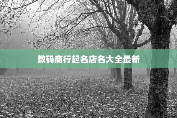 数码商行起名店名大全最新