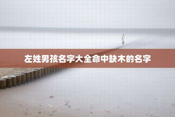 左姓男孩名字大全命中缺木的名字