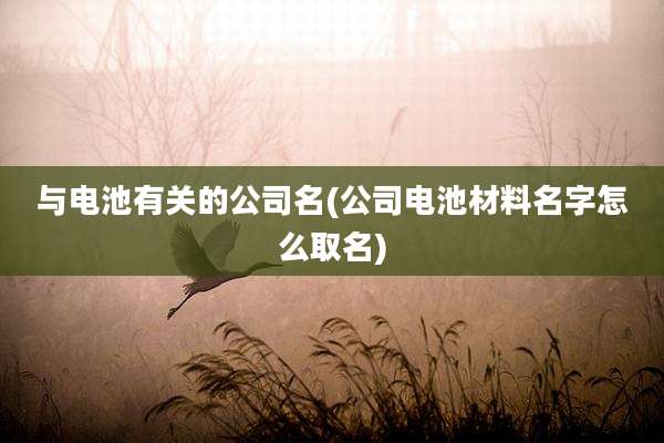 与电池有关的公司名(公司电池材料名字怎么取名)