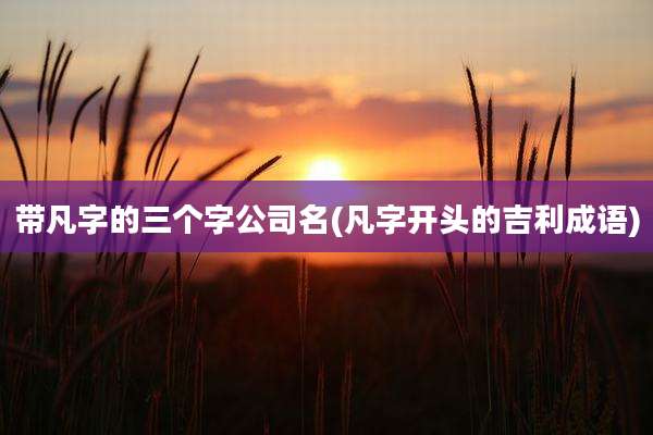 带凡字的三个字公司名(凡字开头的吉利成语)
