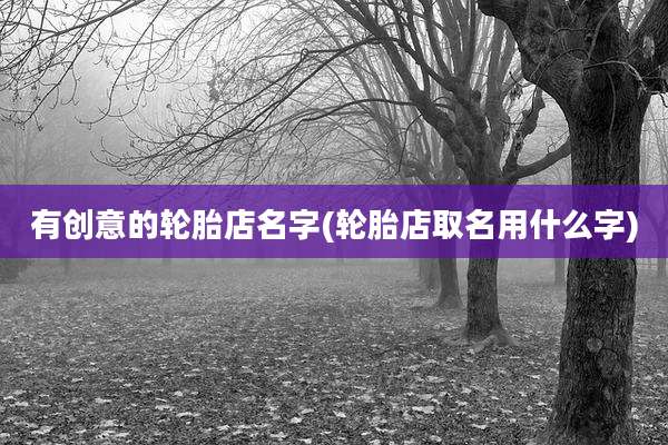 有创意的轮胎店名字(轮胎店取名用什么字)