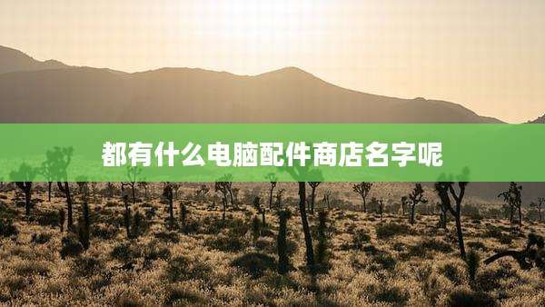 都有什么电脑配件商店名字呢