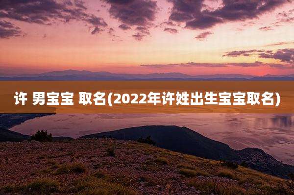 许 男宝宝 取名(2022年许姓出生宝宝取名)