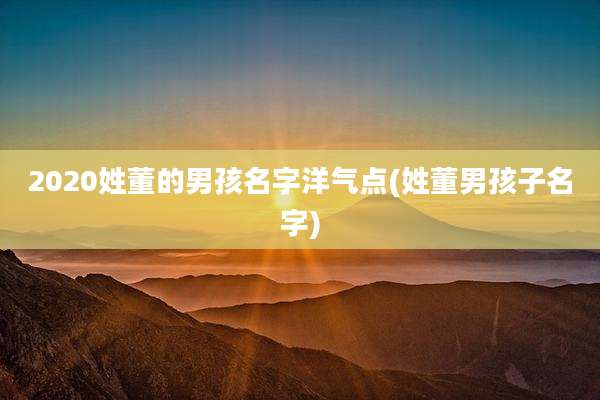 2020姓董的男孩名字洋气点(姓董男孩子名字)