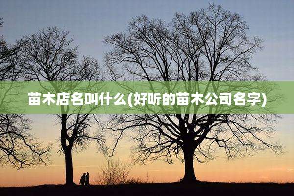 苗木店名叫什么(好听的苗木公司名字)