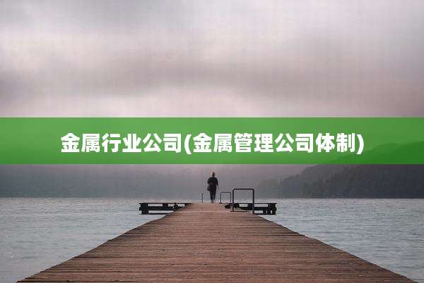 金属行业公司(金属管理公司体制)