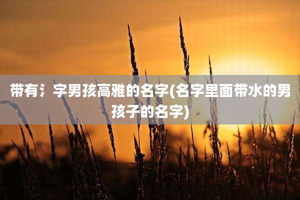 带有氵字男孩高雅的名字(名字里面带水的男孩子的名字)