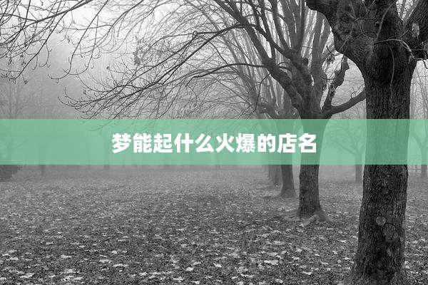 梦能起什么火爆的店名
