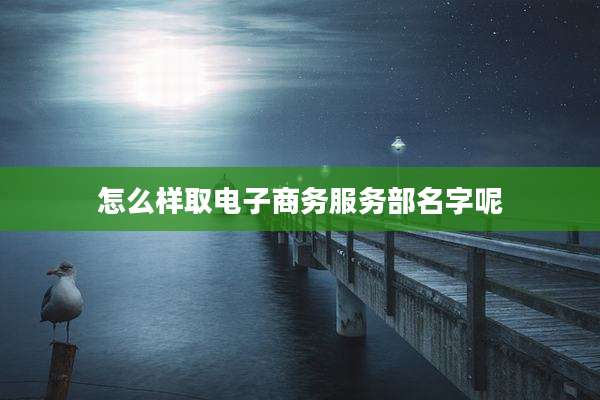 怎么样取电子商务服务部名字呢