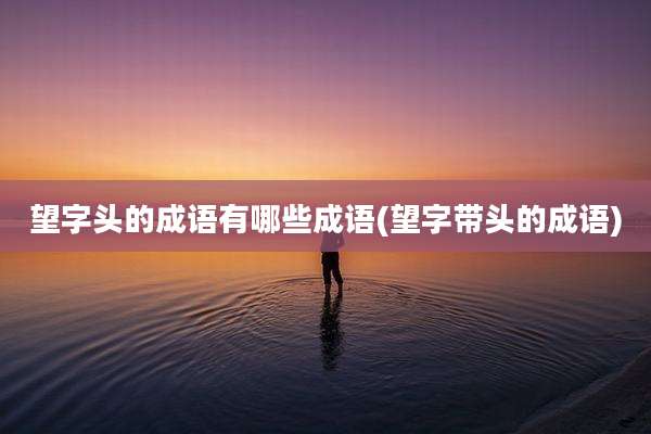 望字头的成语有哪些成语(望字带头的成语)