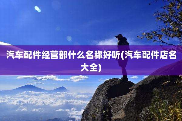 汽车配件经营部什么名称好听(汽车配件店名大全)
