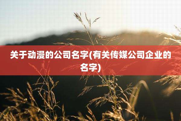 关于动漫的公司名字(有关传媒公司企业的名字)