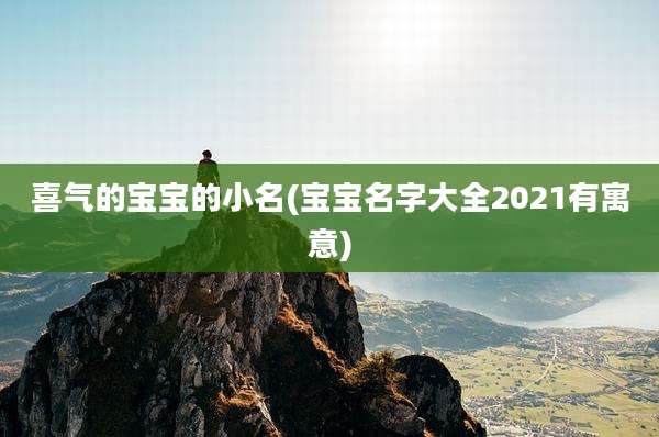 喜气的宝宝的小名(宝宝名字大全2021有寓意)