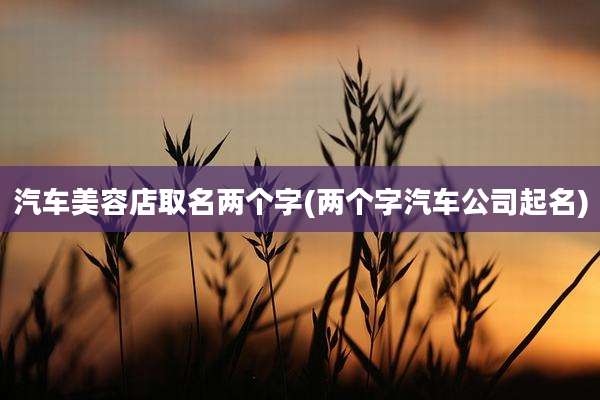 汽车美容店取名两个字(两个字汽车公司起名)