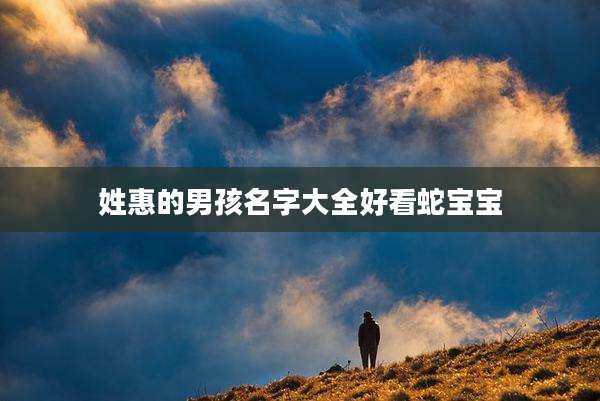 姓惠的男孩名字大全好看蛇宝宝