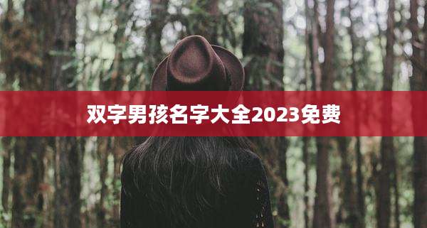 双字男孩名字大全2023免费