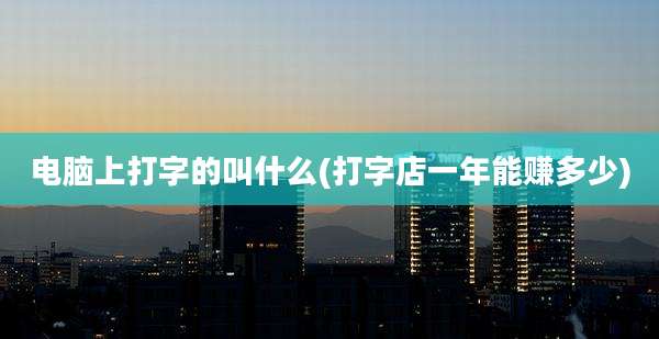 电脑上打字的叫什么(打字店一年能赚多少)