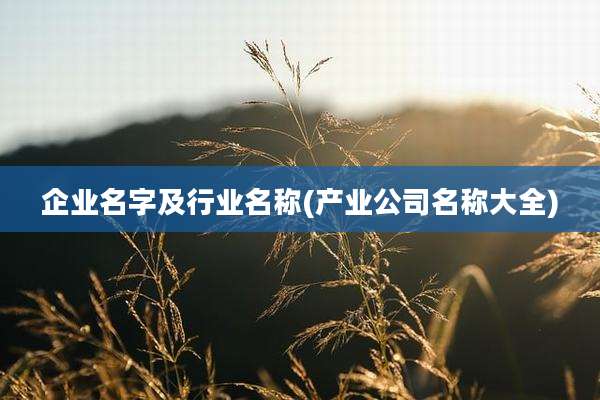 企业名字及行业名称(产业公司名称大全)
