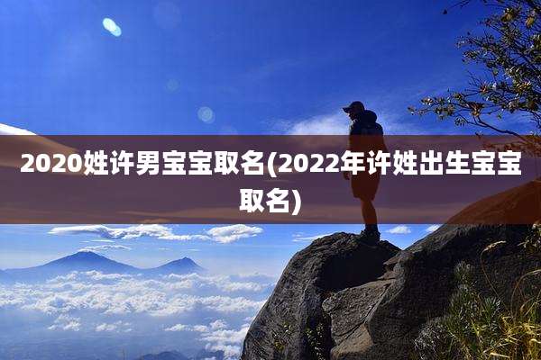 2020姓许男宝宝取名(2022年许姓出生宝宝取名)