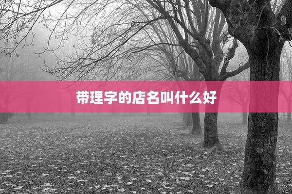 带理字的店名叫什么好