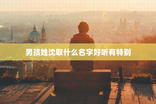 男孩姓沈取什么名字好听有特别