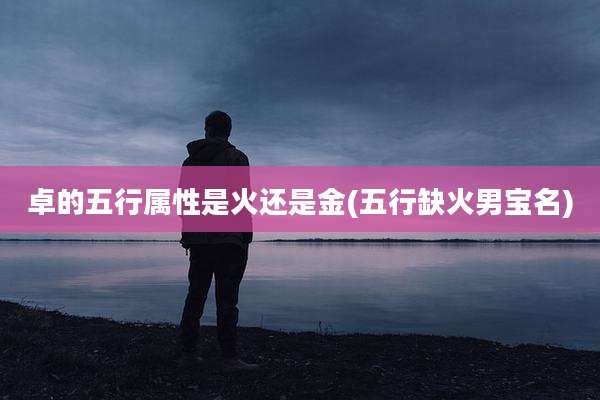 卓的五行属性是火还是金(五行缺火男宝名)