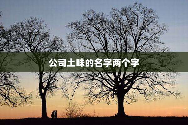 公司土味的名字两个字