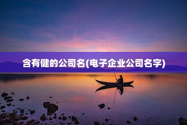 含有健的公司名(电子企业公司名字)