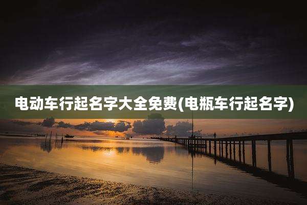 电动车行起名字大全免费(电瓶车行起名字)