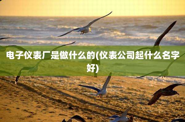 电子仪表厂是做什么的(仪表公司起什么名字好)
