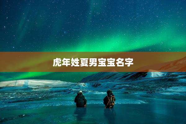 虎年姓夏男宝宝名字