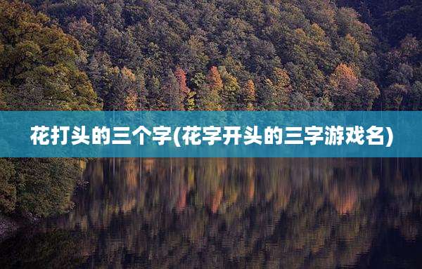 花打头的三个字(花字开头的三字游戏名)