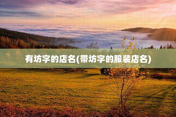 有坊字的店名(带坊字的服装店名)