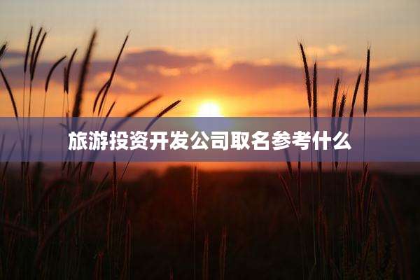 旅游投资开发公司取名参考什么