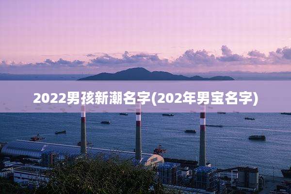 2022男孩新潮名字(202年男宝名字)