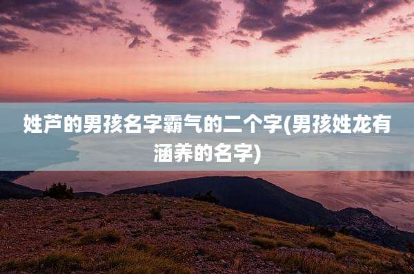 姓芦的男孩名字霸气的二个字(男孩姓龙有涵养的名字)