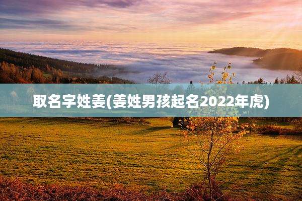取名字姓姜(姜姓男孩起名2022年虎)
