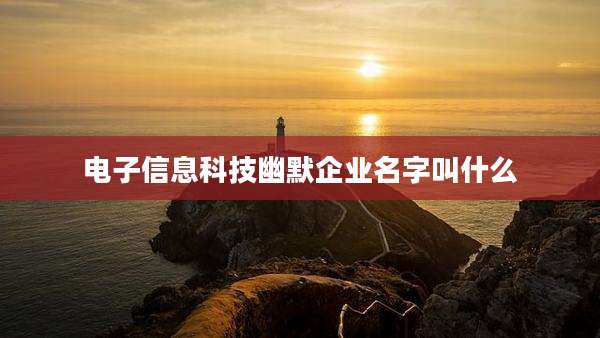 电子信息科技幽默企业名字叫什么